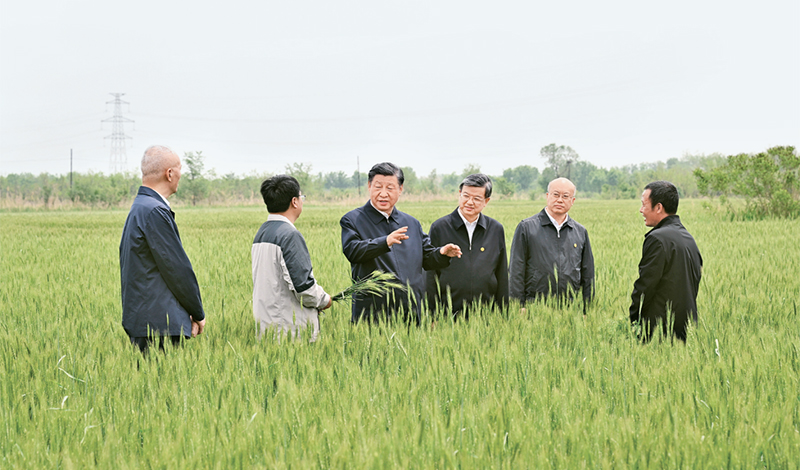 2023年5月11日至12日，，，，，，，中共中央总书记、国家主席、中央军委主席习近平在河北考察，，，，，，，并主持召开深入推进京津冀协同发展座谈会。。。。。。这是11日上午，，，，，，，习近平在沧州市黄骅市旧城镇仙庄片区旱碱地麦田考察时，，，，，，，同种植户、农技专家亲切交流。。。。。。 新华社记者 李学仁/摄