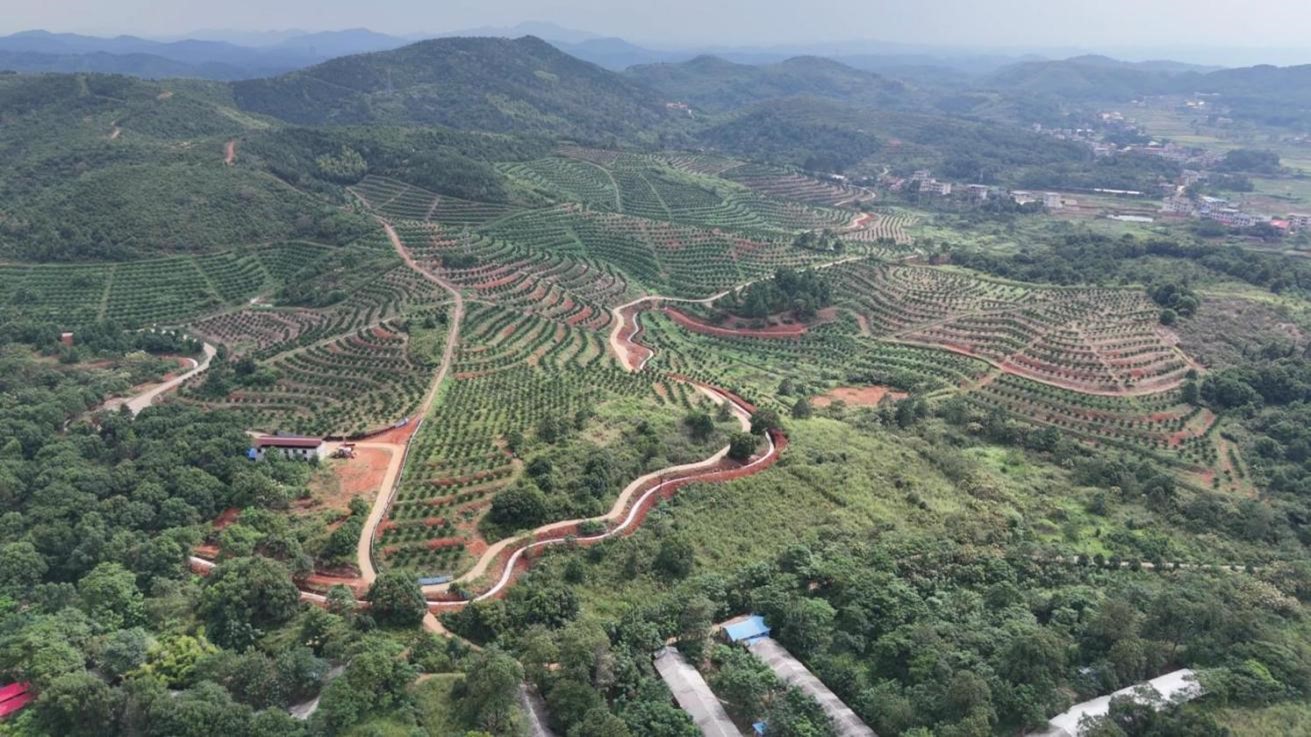 皇家国际·(中国区)有限公司官网